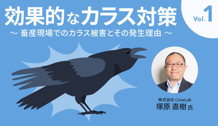 効果的なカラス対策 Vol.1 ～畜産現場でのカラス被害とその発生理由～