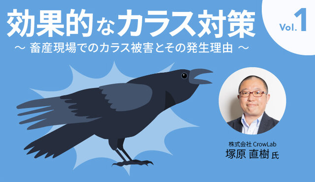 効果的なカラス対策 Vol.1 ～畜産現場でのカラス被害とその発生理由～