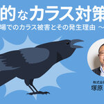 効果的なカラス対策 Vol.1 ～畜産現場でのカラス被害とその発生理由～