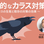 効果的なカラス対策 Vol.2 ～カラスの生態と既存の対策の効果～