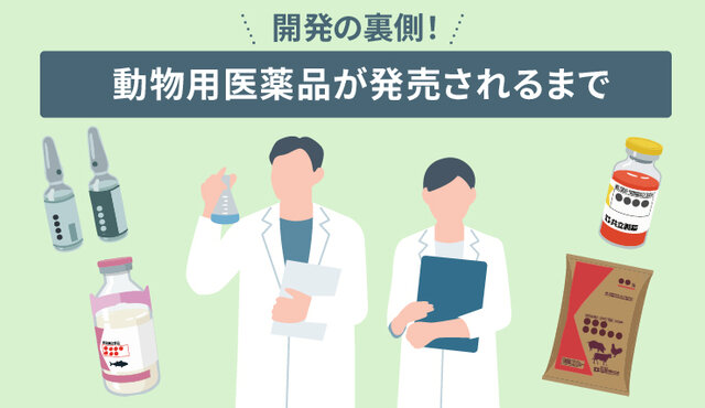 開発の裏側！ 動物用医薬品が発売されるまで