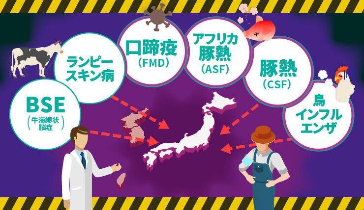 被害は想像以上に！日本の畜産を脅かす伝染病シリーズ　～前編：今もっとも脅威の伝染病～