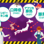被害は想像以上に！日本の畜産を脅かす伝染病シリーズ　～前編：今もっとも脅威の伝染病～