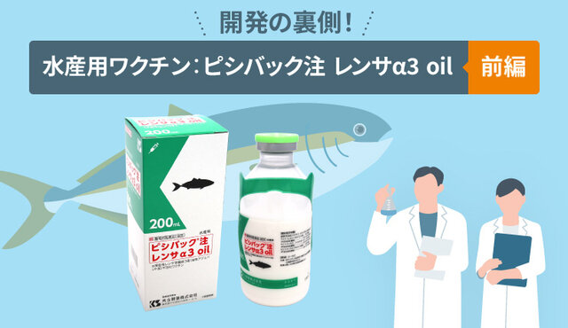 開発の裏側！水産用ワクチン：ピシバック 注 レンサα3 oil ～前編～