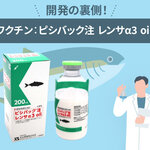 開発の裏側！水産用ワクチン：ピシバック 注 レンサα3 oil ～前編～