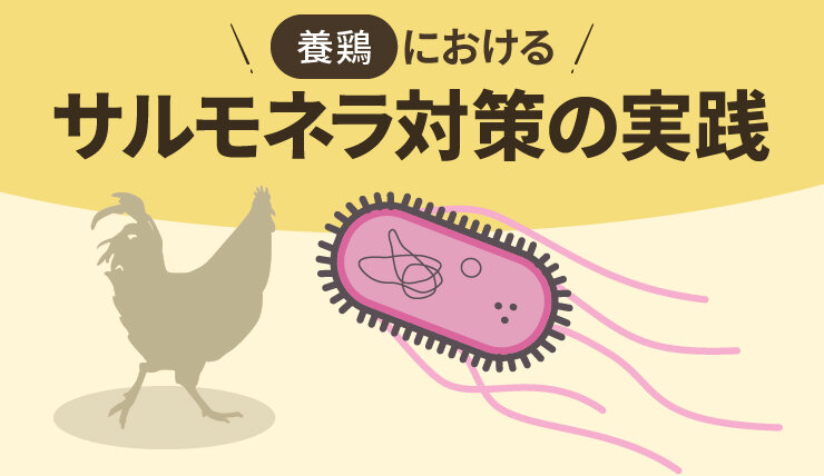 養鶏におけるサルモネラ対策の実践