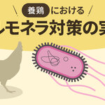 養鶏におけるサルモネラ対策の実践