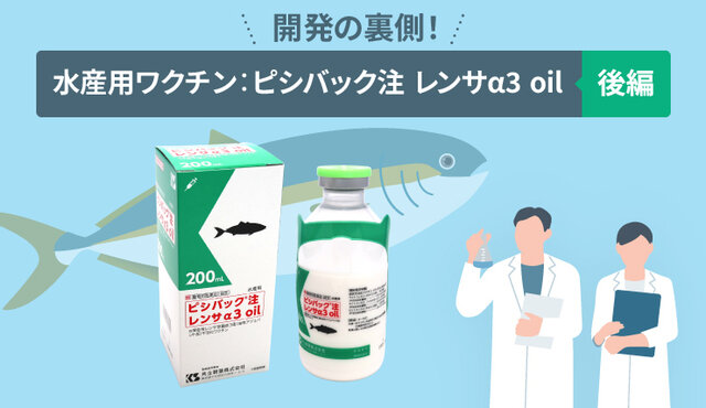 開発の裏側！水産用ワクチン：ピシバック 注 レンサα3 oil ～後編～