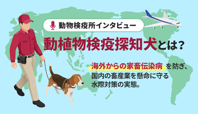 中原 学
