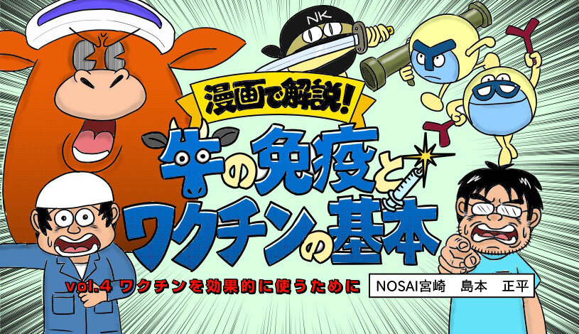 【漫画で解説】牛の免疫とワクチンの基本　vol.4 ワクチンを効果的に使うために