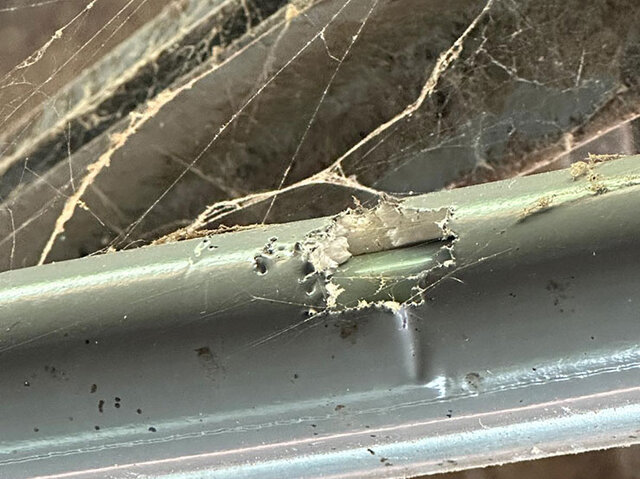 図4. カラスにつつかれた断熱材