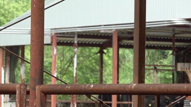 図5. 糞に汚染された柵