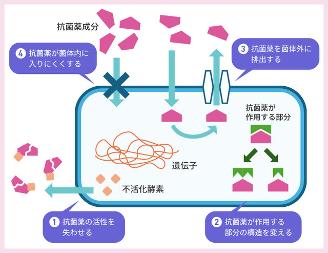 図1. 細菌の薬剤耐性メカニズム