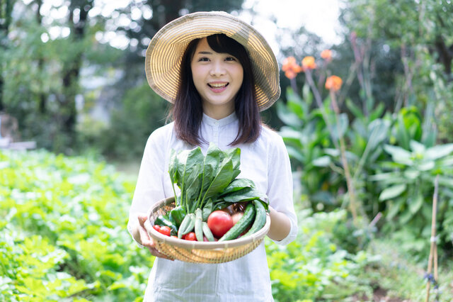 ふるさと納税の基本的な仕組みについて詳細に解説