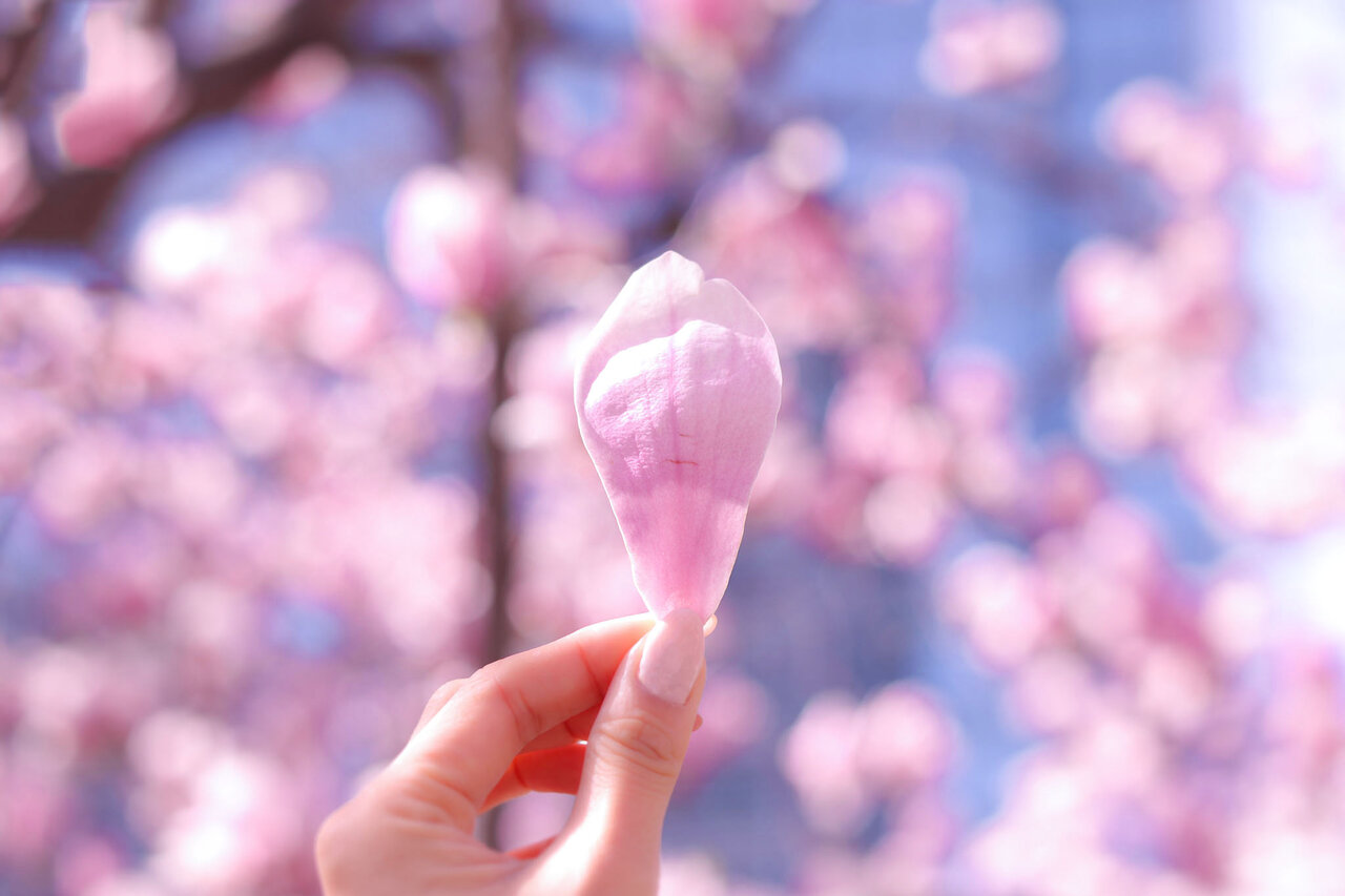 【ALL2,000円以下】メイクで春先取りしちゃお!プチプラ春コスメ2021♡
