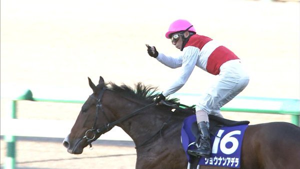 14年の2歳女王ショウナンアデラがいよいよ戦線復帰 競馬ニュース Tv