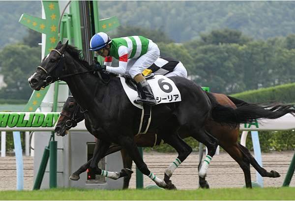 シーリアが夕月特別で連勝狙う 弟に負けじと一族の勢いを増す 競馬ニュース Tv