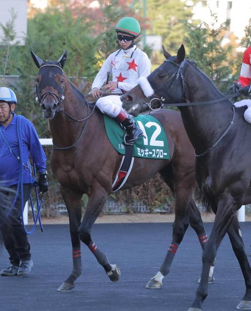 ミッキースワローが福島記念で3着に敗戦 斤量響き差し脚鈍る 競馬ニュース Tv