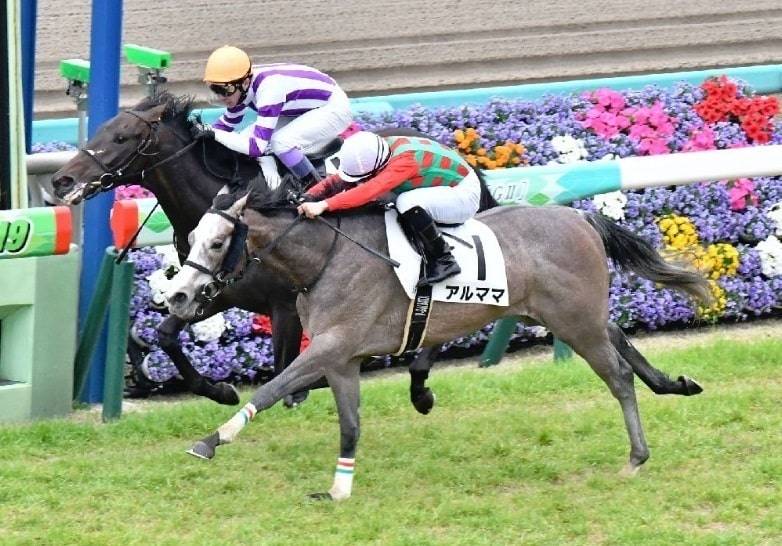 アルママが1勝クラスで復帰 潜在能力は高く確実に上位争い 競馬ニュース Tv