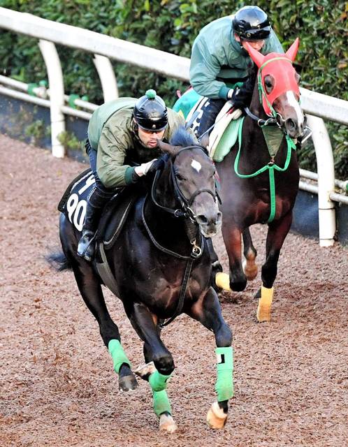 ミッキーブラックが京都2歳sで無敗の3連勝へ 陣営も自信 競馬ニュース Tv