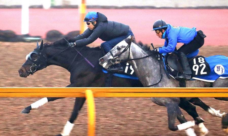 キスラーがすみれsで連勝へ 勝てば一気に皐月賞の有力候補 競馬ニュース Tv