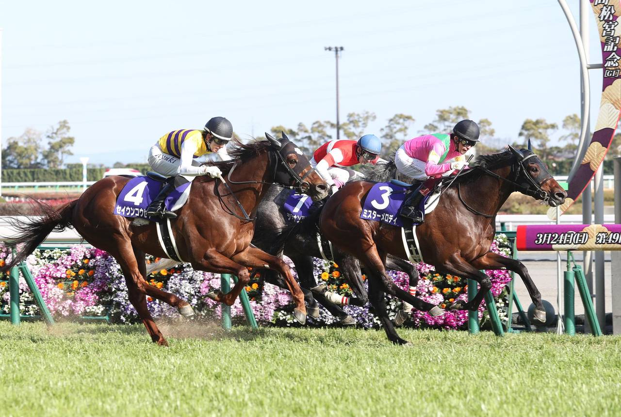 高松宮記念 2019 結果 動画 - 競馬ニュース.tv