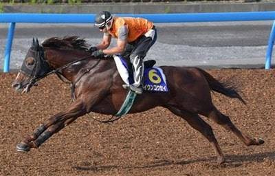 セイウンコウセイがスプリンターズsでまた波乱の演出なるか 競馬ニュース Tv