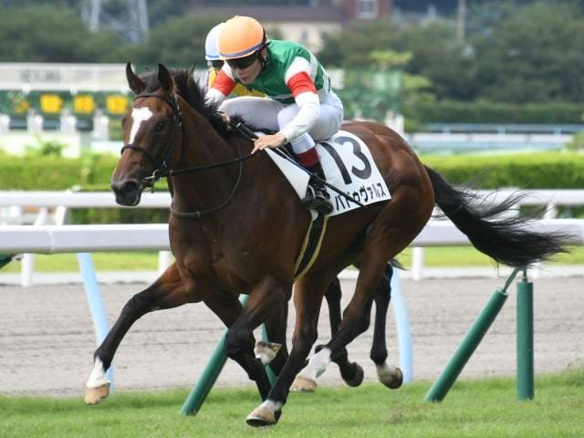 パドゥヴァルスが新馬を飛ぶ様な走りで差し切り 意外な大物か 競馬ニュース Tv