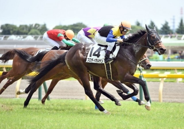 驚異 金子真人氏所有馬が日本ダービーに4頭参戦 競馬ニュース Tv