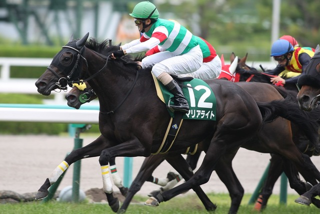 16年目黒記念 G2 東京 芝2500m 出馬表 予想オッズ 独自予想 競馬ニュース Tv