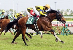 結果】2016年トヨタ賞中京記念(G3)は7番人気ガリバルディが重賞初制覇 