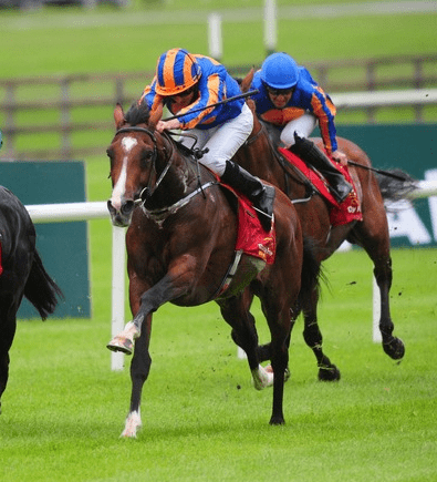 ハイランドリールがkg6世 Qeステークスを逃げ切り 競馬ニュース Tv