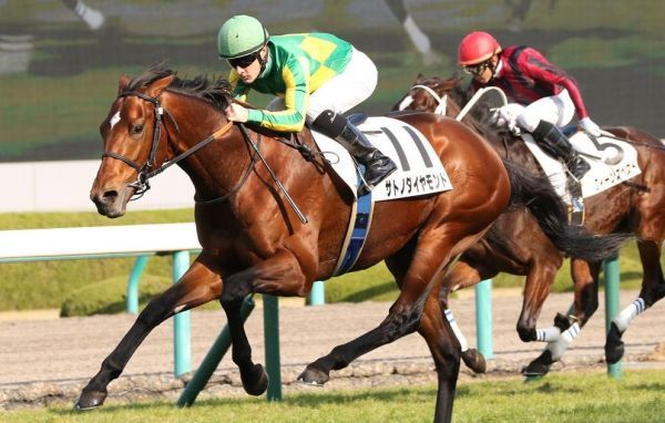 16年神戸新聞杯 G 出馬表 独自予想 予想オッズ 競馬ニュース Tv