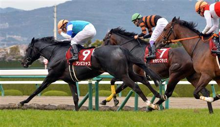 産経大阪杯が来年からgiへ昇格 レース名は 大阪杯 に 競馬ニュース Tv