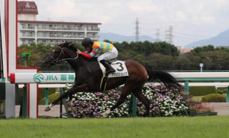 アグネスジュレップ リスグラシューは共に次走で乗り替わりへ 競馬ニュース Tv