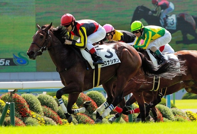 番付 16年10月度新馬戦レーティングまとめ 競馬ニュース Tv 番付 16年10月度新馬戦レーティングまとめ 競馬ニュース Tv