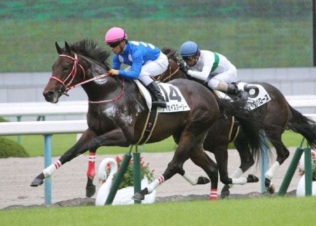 番付 16年10月度新馬戦レーティングまとめ 競馬ニュース Tv 番付 16年10月度新馬戦レーティングまとめ 競馬ニュース Tv