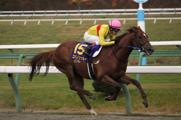 16年チャンピオンズc G 出馬表 独自予想 予想オッズ 競馬ニュース Tv