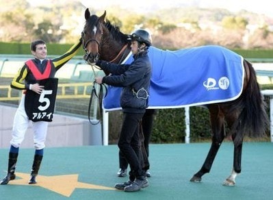 16年12月4週後の次走注目馬まとめ 競馬ニュース Tv 16年12月4週後の次走注目馬まとめ 競馬ニュース Tv