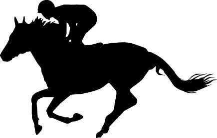 ローズステークスの過去結果動画と歴代勝ち馬 競馬ニュース Tv