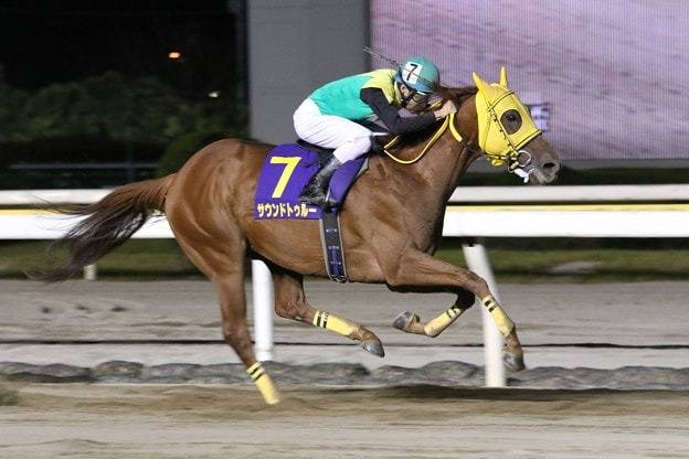 チャンピオンズカップ 17 結果 動画 競馬ニュース Tv