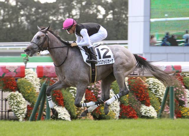 アルママが1勝クラスで復帰 潜在能力は高く確実に上位争い 競馬ニュース Tv アルママが1勝クラスで復帰 潜在能力は高く確実に上位争い 競馬ニュース Tv