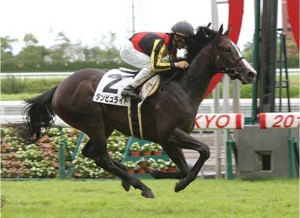 チャレンジカップ 2018 結果 動画 競馬ニュース Tv