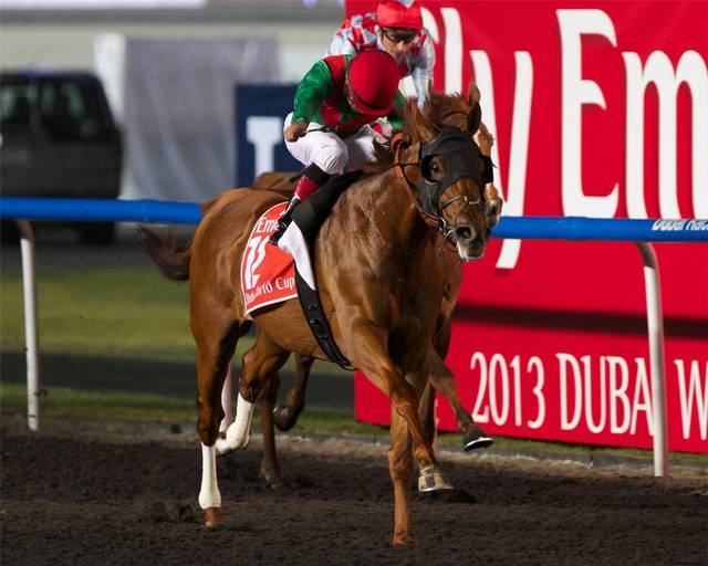 サトノキングダムが新潟記念でいよいよ重賞獲りへ 妹に続け 競馬ニュース Tv