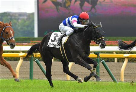 グランチェイサーが新潟2歳sの目玉 前走のタイムは超優秀 競馬ニュース Tv