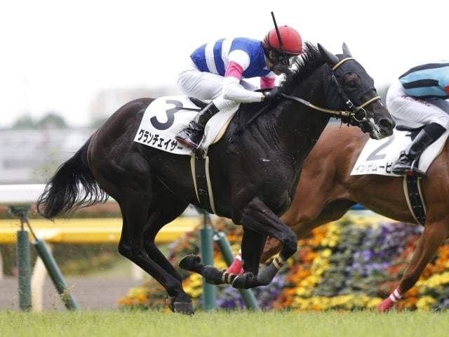 グランチェイサーが新潟2歳sの目玉 前走のタイムは超優秀 競馬ニュース Tv