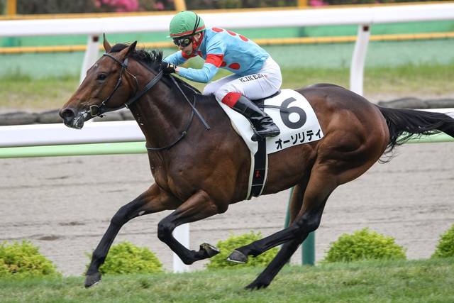 オーソリティがホープフルsで地の利活かす 中山は前走で攻略 競馬ニュース Tv