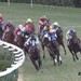 8位 RR:105.6 I 日経新春杯2017 GⅡ