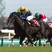 1位 RR:110.5 I 日経賞2017 GⅡ
