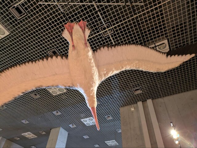 かはく”初、「鳥」の特別展！シマエナガから「古代の空飛ぶ巨鳥」まで